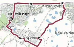 Entre terre et mer à Merville-Franceville-Plage